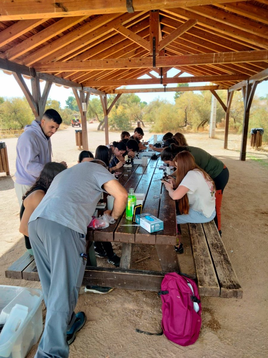 MAmbBioquimUCLM's tweet photo. Estudiantes de 2º de Ambientales han realizado trabajo de campo en los #humedales manchegos de Alcázar de San Juan y Villafranca de los Caballeros, estudiando su avifauna y calidad del agua. Son espacios únicos que debemos conservar 💦🦆 #somosAmbientales #somosCiencias https://t.co/Auv7oZ7Qra
