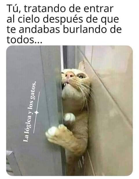 🤣🤣🤣