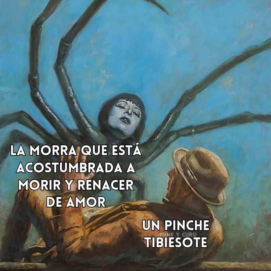 🕸️🕸️🕸️🕸️