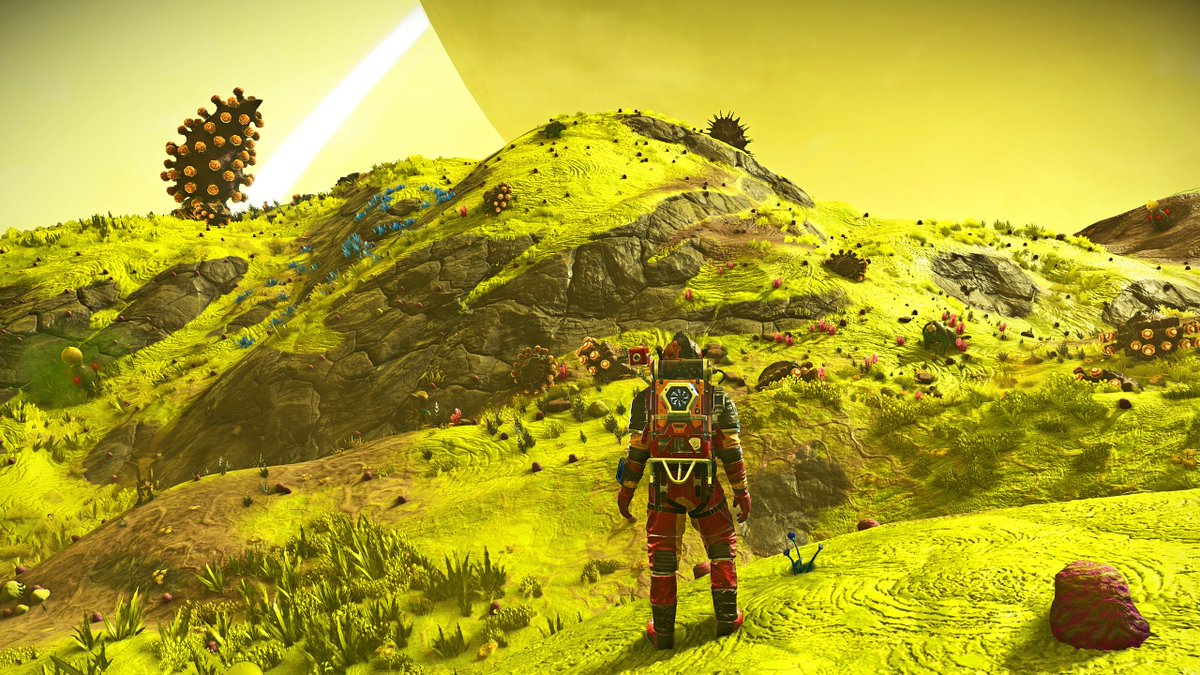 Just sightseeing. #NoMansSky #Exploration