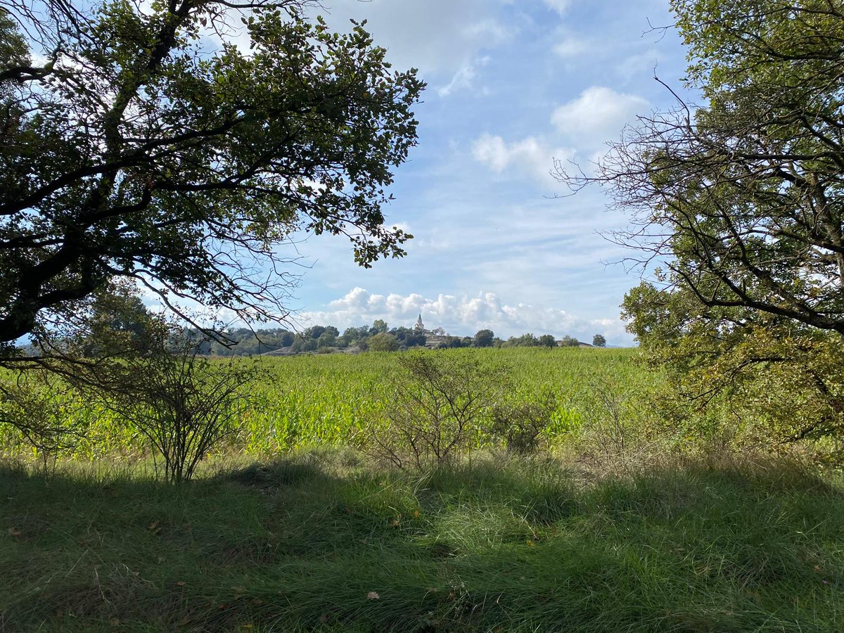 CELlinarsValles's tweet image. Imatges de la darrera sortida de la secció de muntanya a Osona.
Manllefu-⛪Ermita de Lurdes o Santuari de Puig-agut.
#Osona #Manlleu #excursionisme #SantuariPuigagut