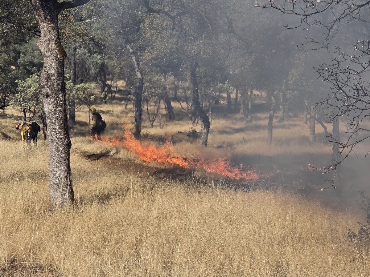 Firing operations have begun on the #LoaferDWR project. Eight engines and four hand crews are at scene ensuring a safe and effective burn.