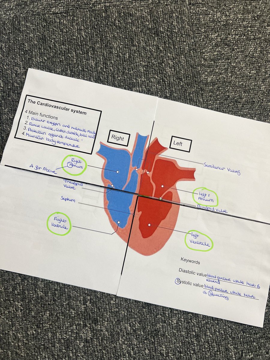 PotkinsPE tweet media
