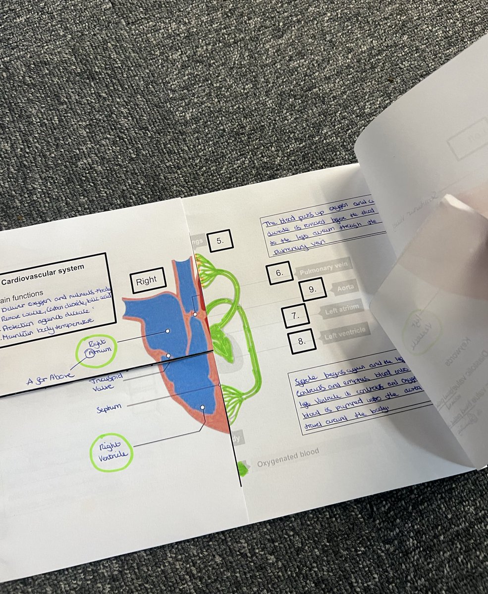 PotkinsPE tweet media