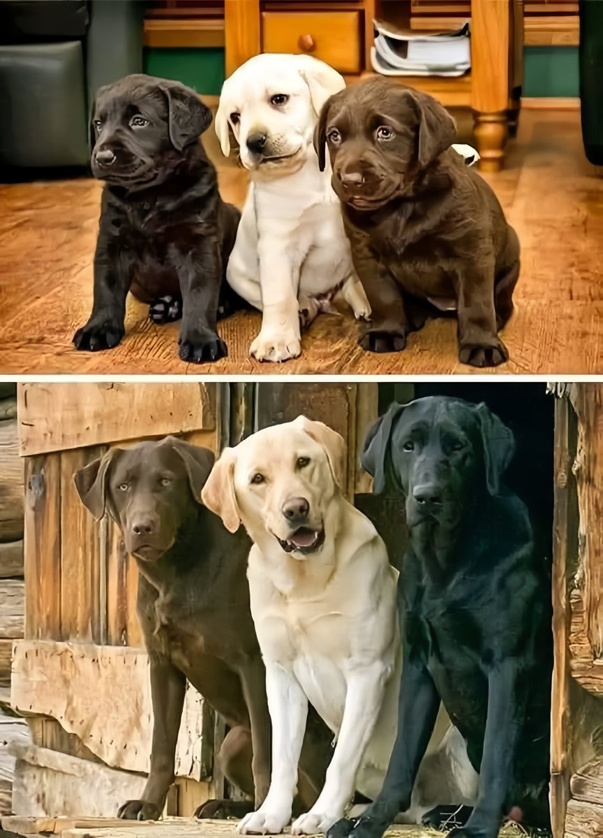 Friends for life ❤️