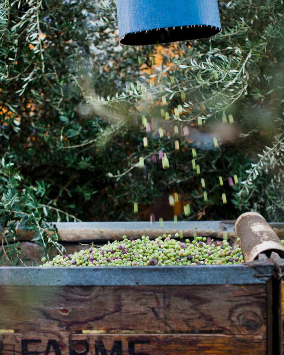 California Farm Bureau tweet media