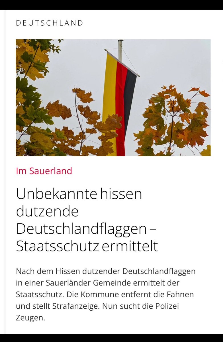 Unknown individuals hoist dozens of German flags – State Security is investigating After dozens of German flags were hoisted in a Sauerland municipality, State Security is investigating. The municipality removed the flags &amp; filed a criminal complaint.  #nojoke #germany