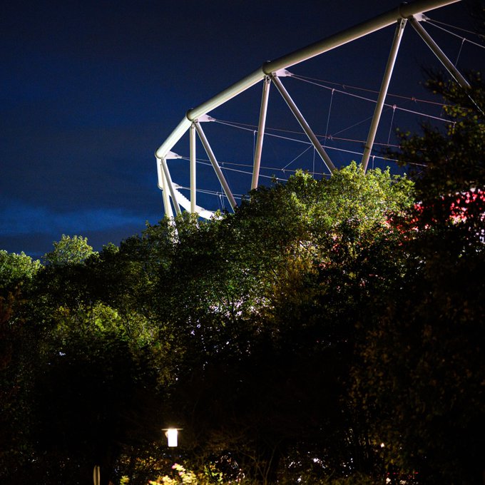 Nighttime view of the BayArena stadiums curved metallic roof arching upward against a dark sky, partially framed by green trees in the foreground, with warm yellow lights illuminating the structure and a nearby street lamp glowing softly.