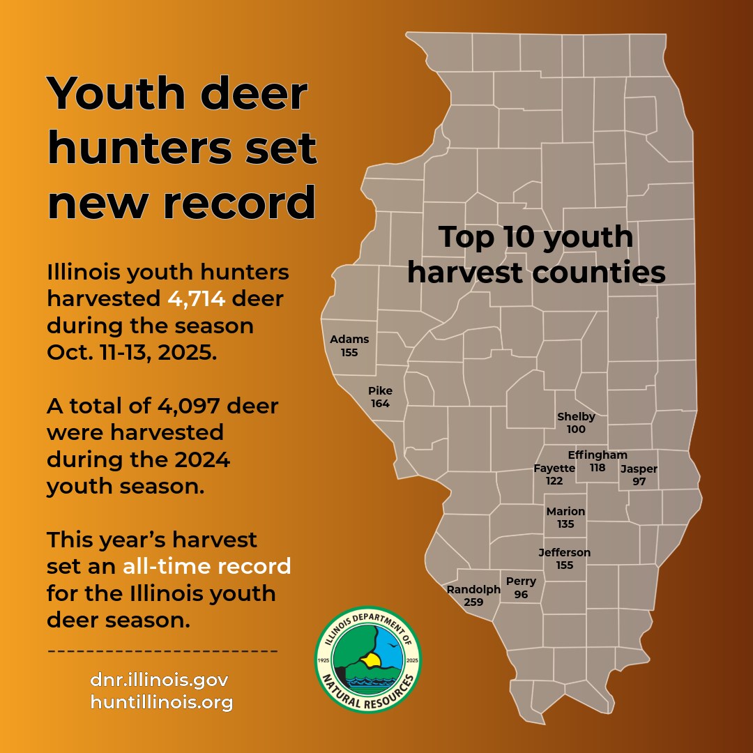 New record! Illinois youth hunters harvested 4,714 deer Oct. 11–13. 

Top counties: Randolph (259), Pike (164), Adams &amp; Jefferson (155), Marion (135).

Unfilled youth permits valid for Nov. 21–23 &amp; Dec. 4–7 firearm seasons. 

Learn more: huntillinois.org