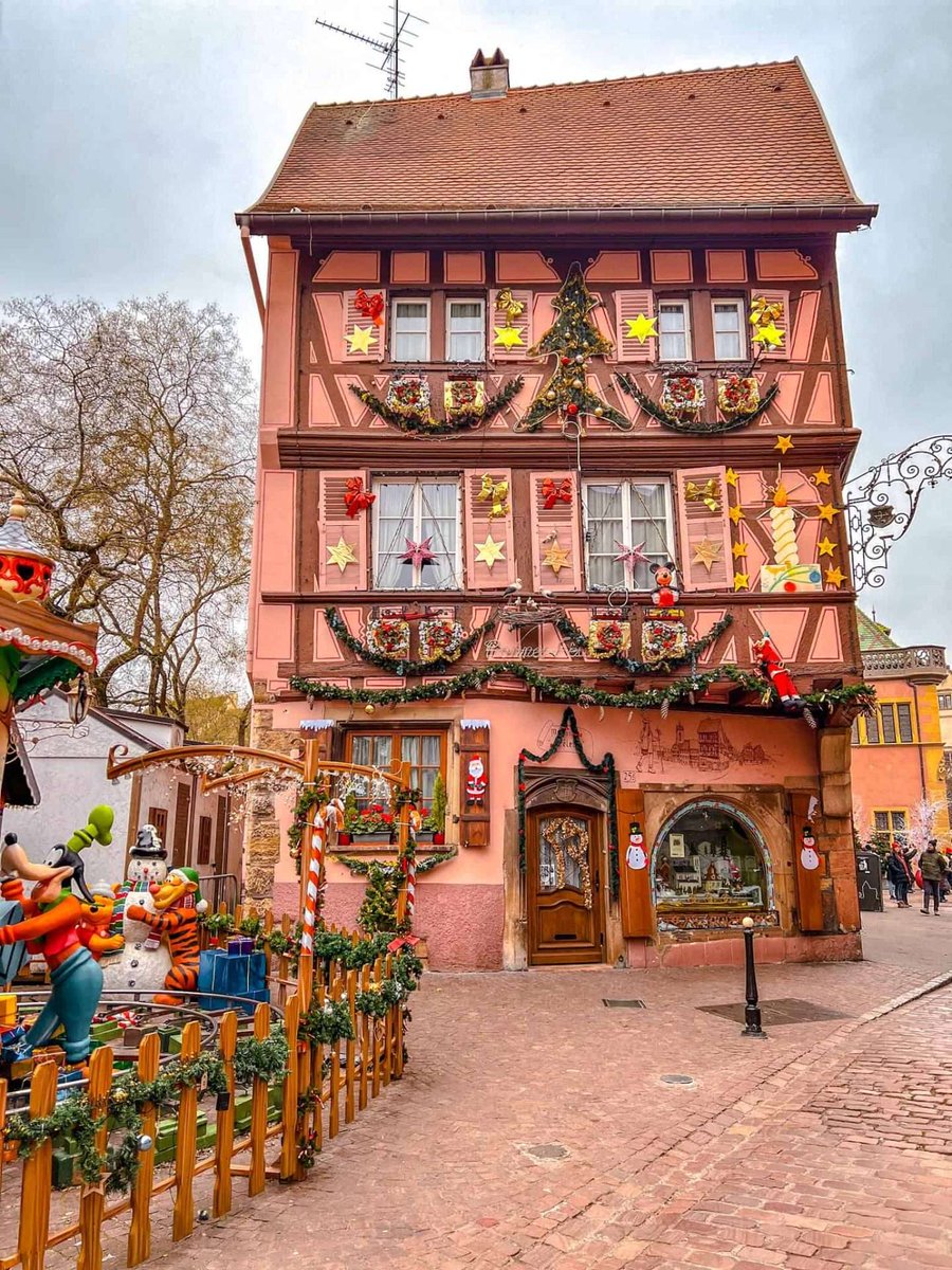 Darling Escapes tweet media