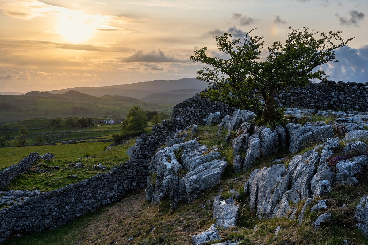A lone tree clings on to the limestone pavement in the Winskill Stones area of the Yorkshire Dales. This is the last in my latest series of photos from the Dales. Hope to return for more photography in the not so distant future 🙌 #yorkshire #yorkshiredales #landscapephotography