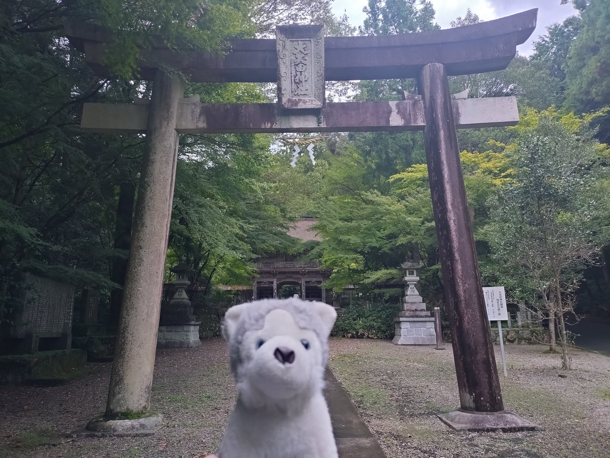 Lime721's tweet image. 愛犬と神社巡りしてきました。
約30年
一緒にいてくれるパートナーです。
#ぬいぐるみ
#Puppet
#Husky
#犬
#DOG
#Partner
#神社
#風景
#photo