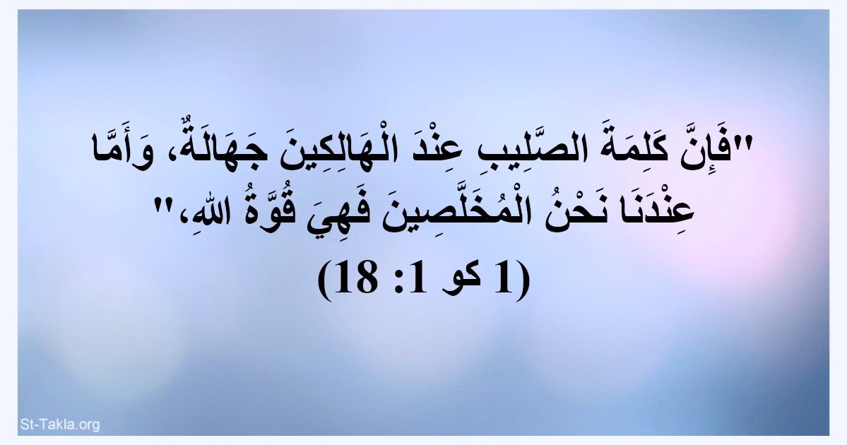 Bio ⲙⲡⲁⲇⲓⲣ (@viabadir) on Twitter photo 