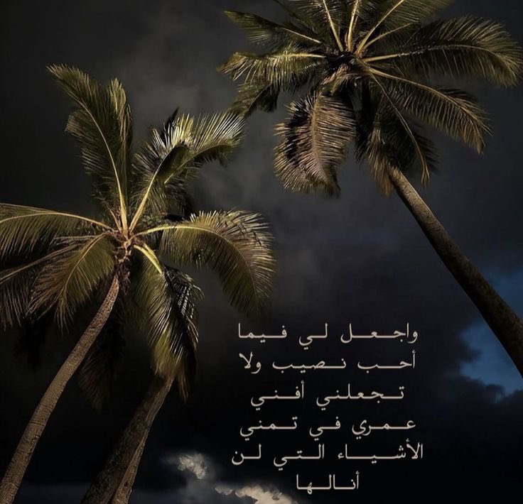 دانـه (@thll6z) on Twitter photo 