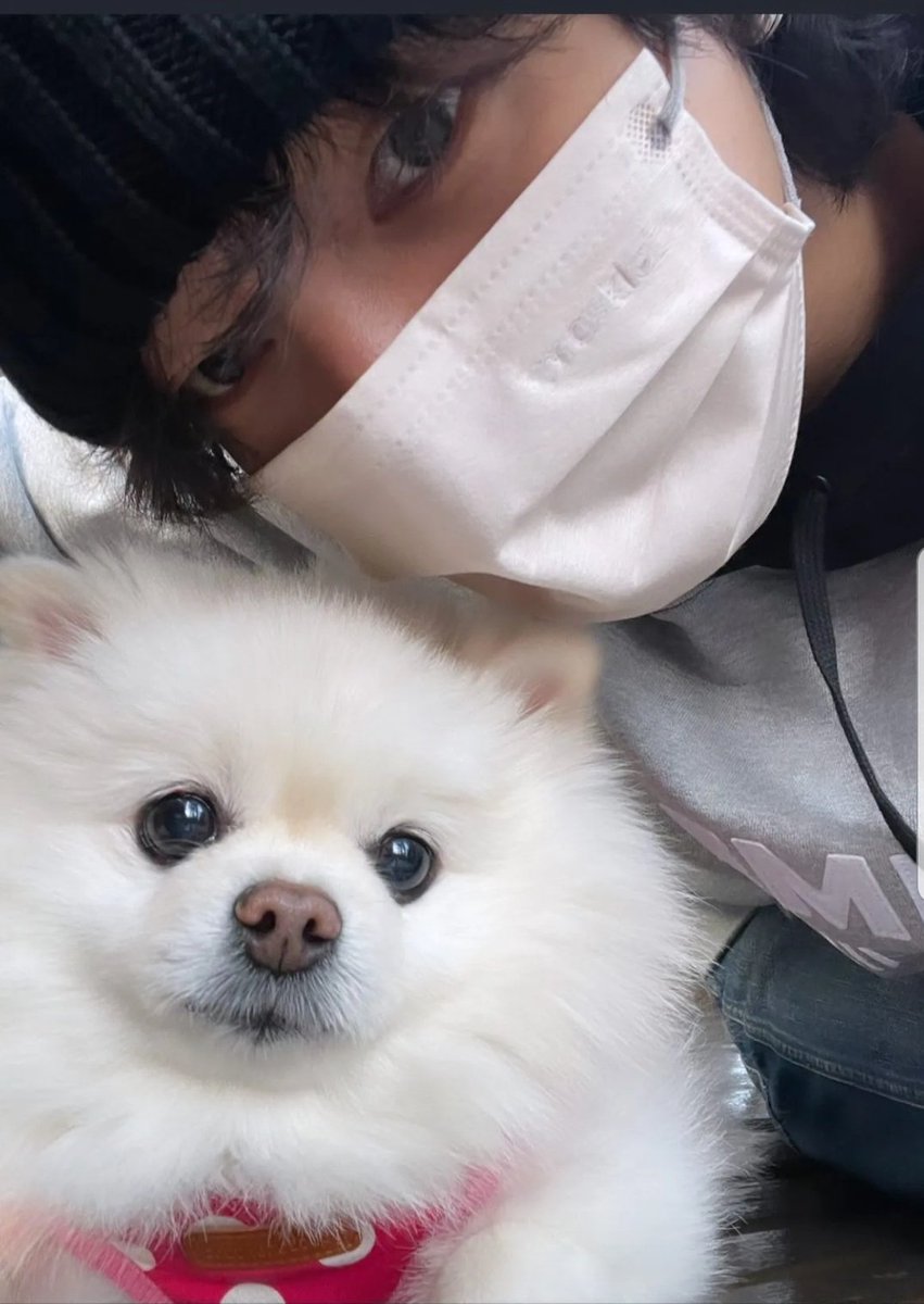ye824midori888's tweet image. 멜로는 가족의 깊은 사랑을 받아 세상에서 가장 행복했던 것 같아요. 천국에서 예성 씨를 지켜봐 주세요. 사랑스러움 감사합니다.

 #yesung #melo