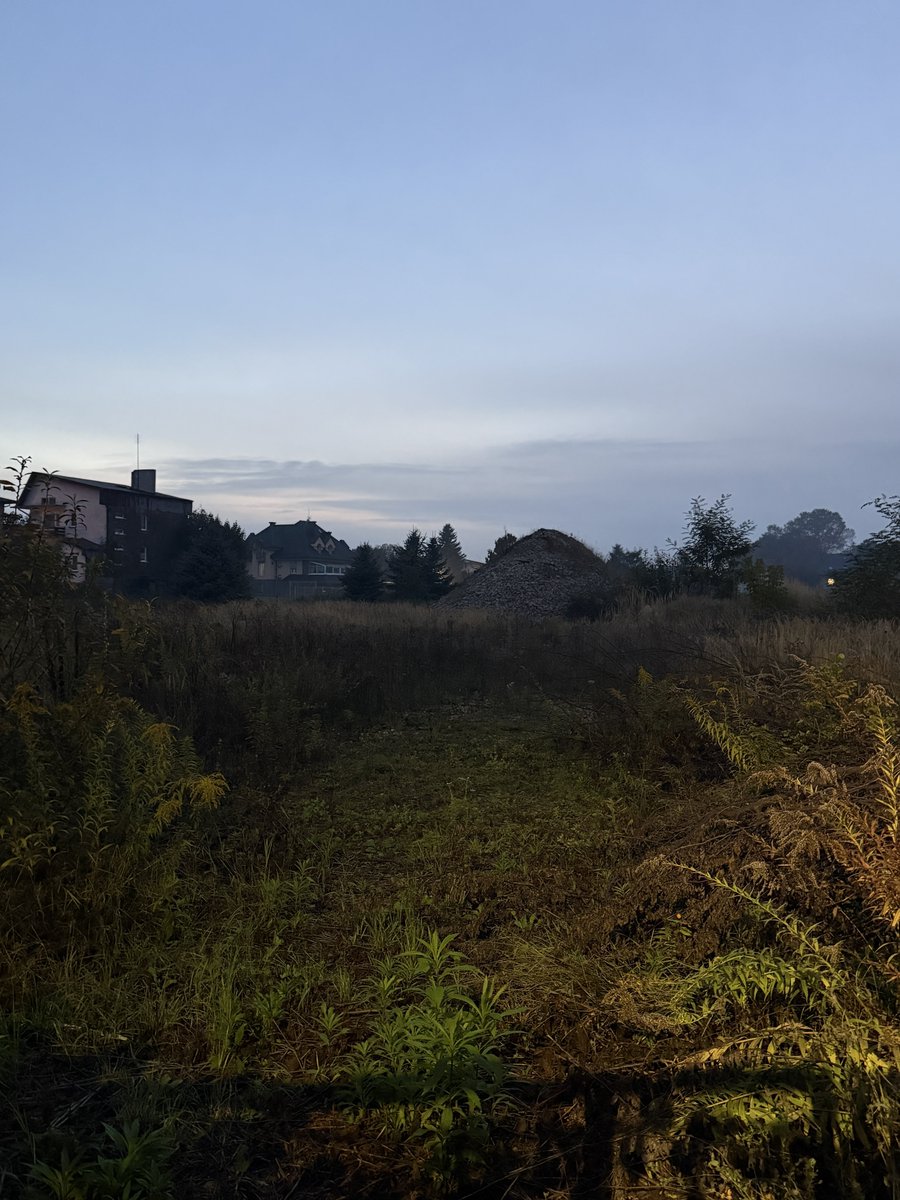 JackKovn's tweet photo. fall in poland https://t.co/ur234hZpq5