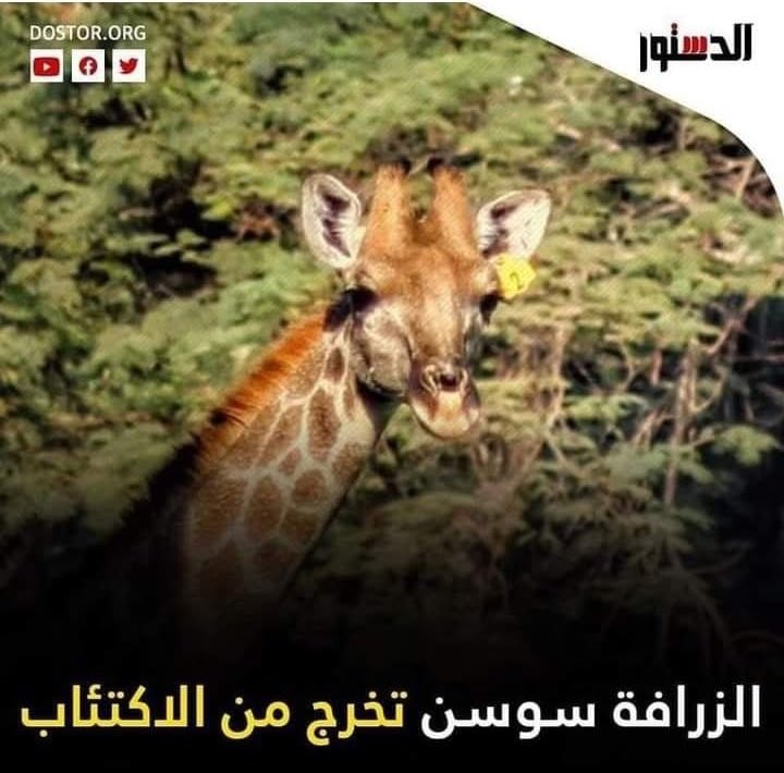 sad people's meme bot (@dead_inside_bot) on Twitter photo 