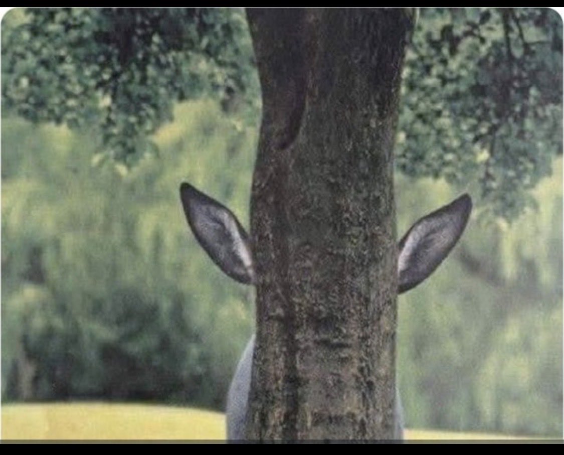 اخرج من خلف الشجرة ففرسان الاتفاق لاتركب الحمير بل تركب الخيول