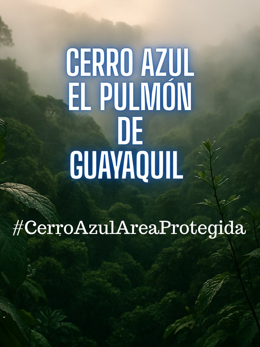 CERRO AZUL NECESITA DE TÚ APOYO!!
Gracias a todos los que están firmando por la protección de #CerroAzul esta iniciativa es por la vida de toda la flora y fauna silvestre que vive en este ecosistema.

Sigue firmando y compartiendo ✍️🔄
change.org/Cerro_Azul_Are…