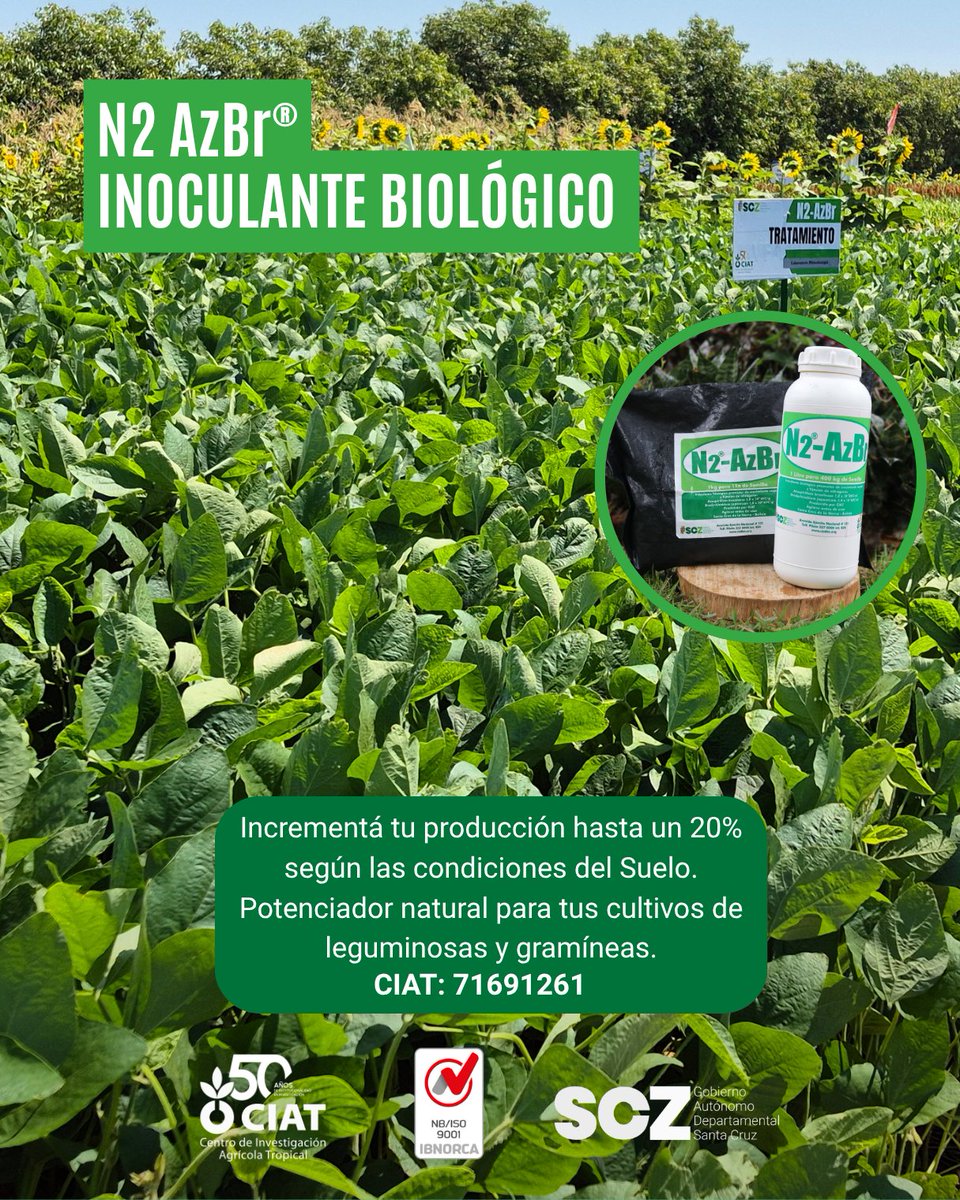 CIAT Bolivia tweet media