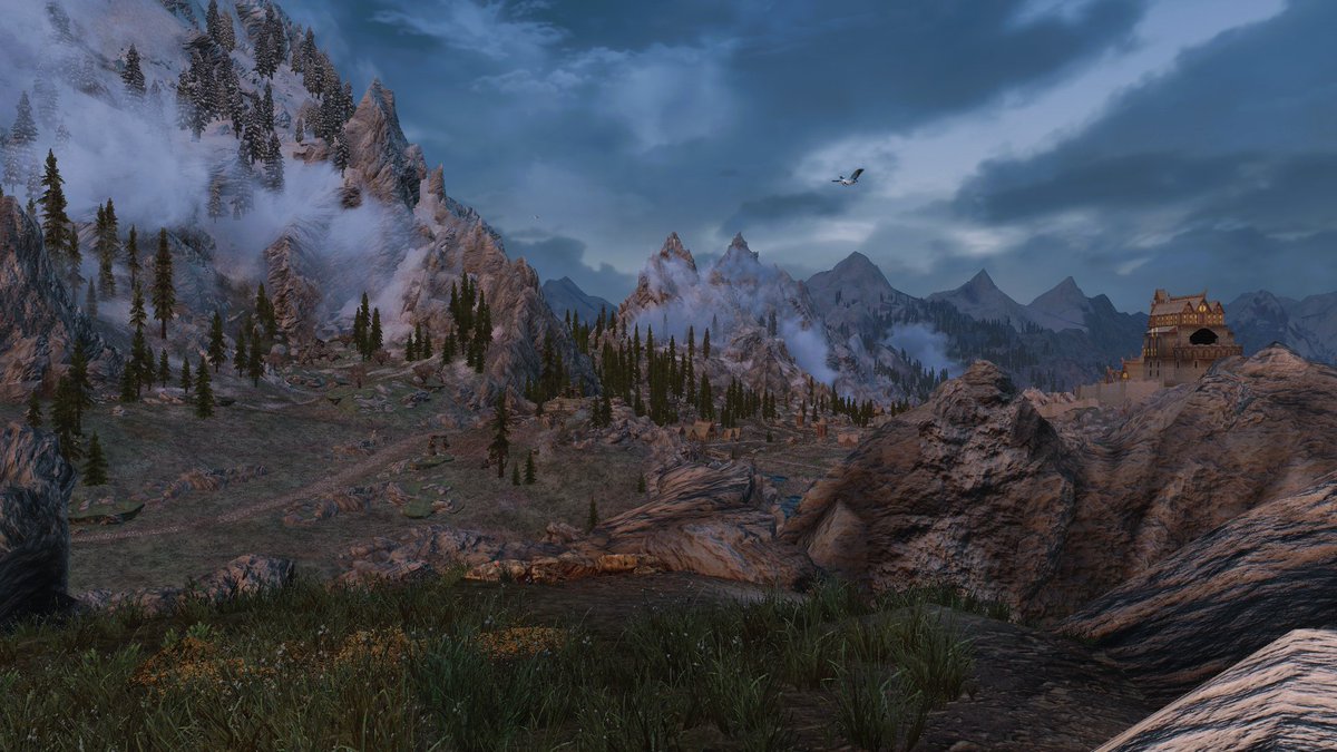 Freya (@freya6185251) on Twitter photo 