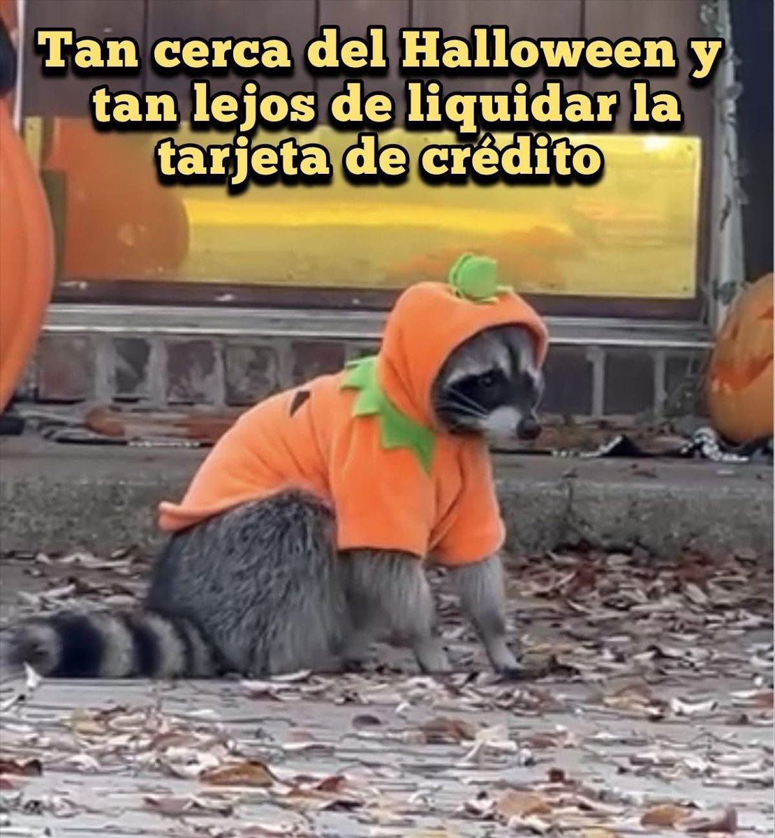 Javisness's tweet image. 