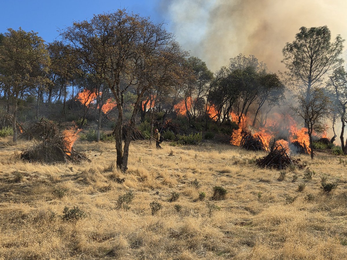#LoaferDWR [update] One way we maximize the effectiveness of a broadcast burn is by creating piles of dead brush and timber within the burn area. By collecting the fuel into a pile, we get better consumption of the fuels than if they were just laying loose on the ground.