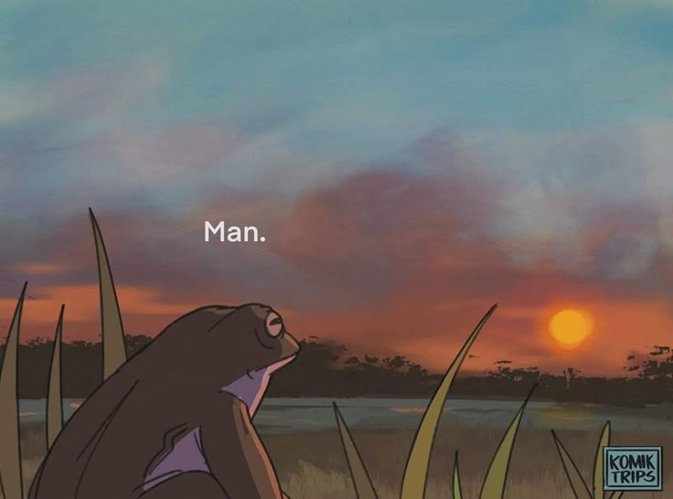 wilplatypus's tweet image. 