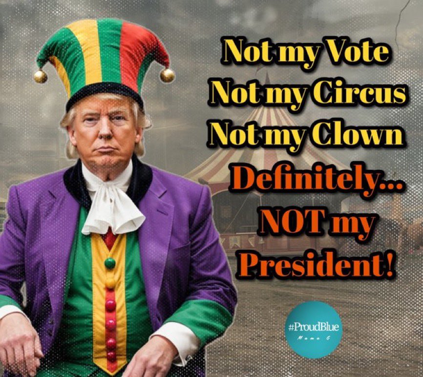 nolietees's tweet photo. @RobSchneider You can have him and poop-filled diapers. https://t.co/ZaT9Ukf1Zl