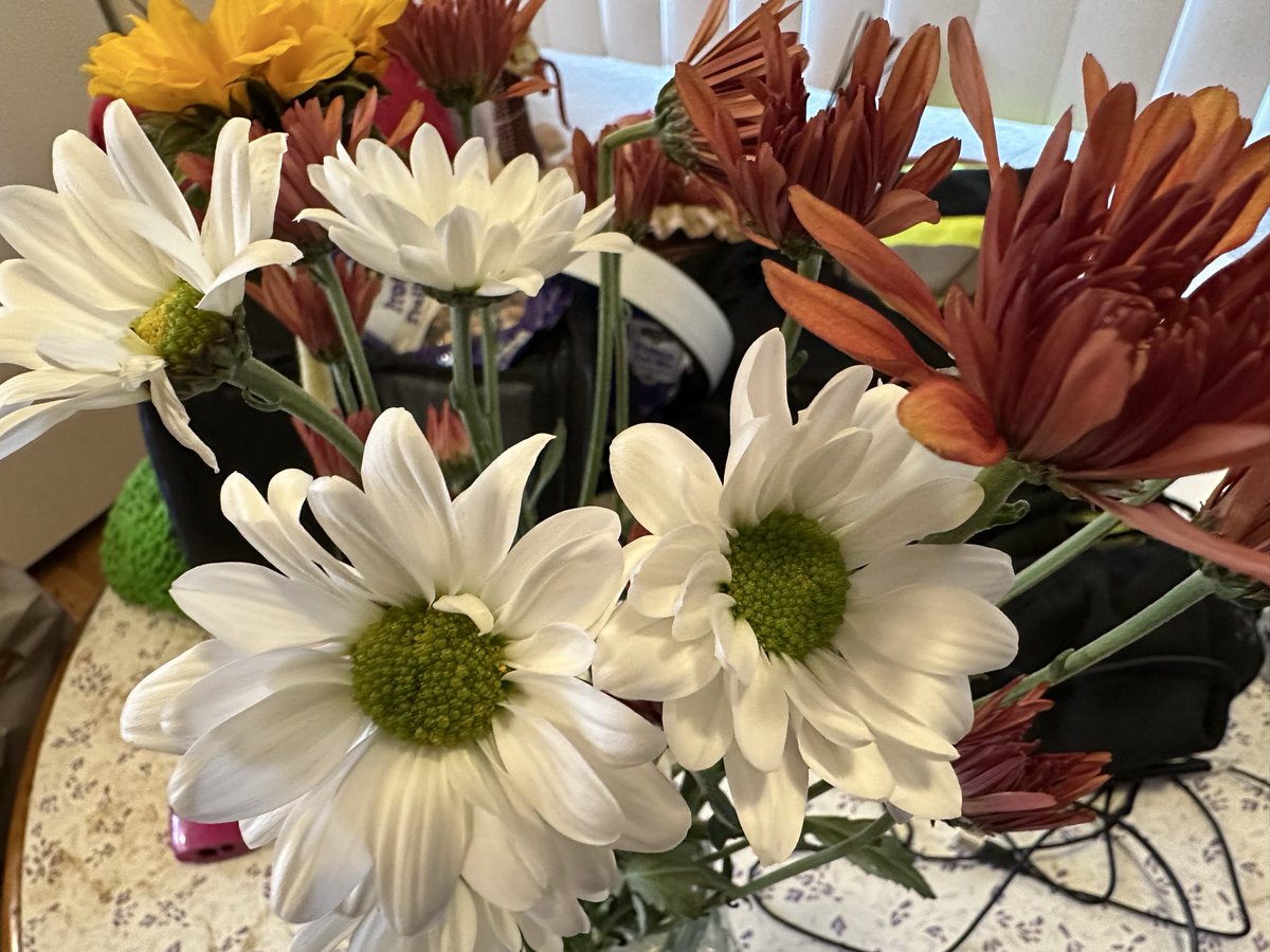 nannabo78's tweet image. I got myself a little $5 bouquet at the #DollarGeneral this morning when I went to pick up coffee… I used to dream of having my own place to buy flowers for my table… goal officially completely achieved 😊💐