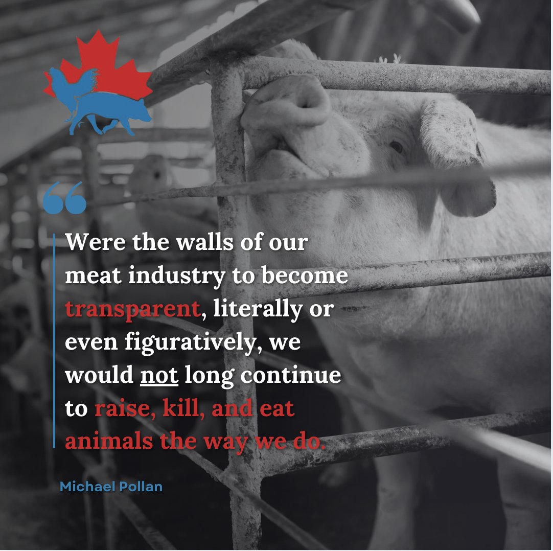 farmedanimals's tweet photo. https://t.co/qM7VqFIz7S