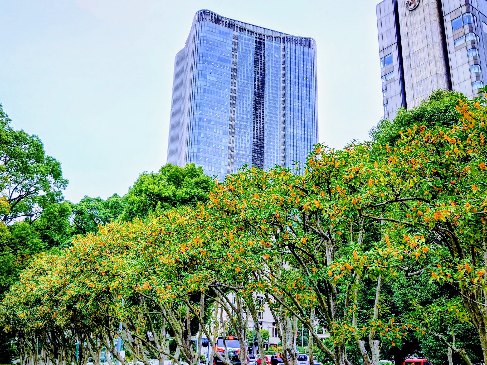 moka⭐️様　木曜日 せんちょう on X: 