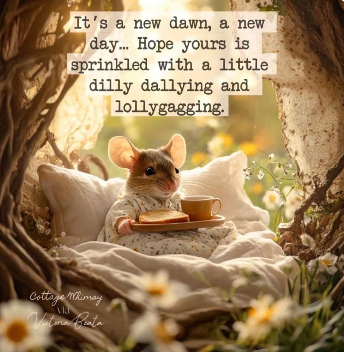 barbiesway's tweet image. “Tension is who you think you should be, relaxation is who you are.” ~Chinese Proverb
“If you want to be happy, set a goal that commands your thoughts, liberates your energy, &amp;amp; inspires your hopes.” ~Andrew Carnegie.  Choose to be happy🌹
#TuesdayFeeling #tuesdayvibe #TuesdayFun