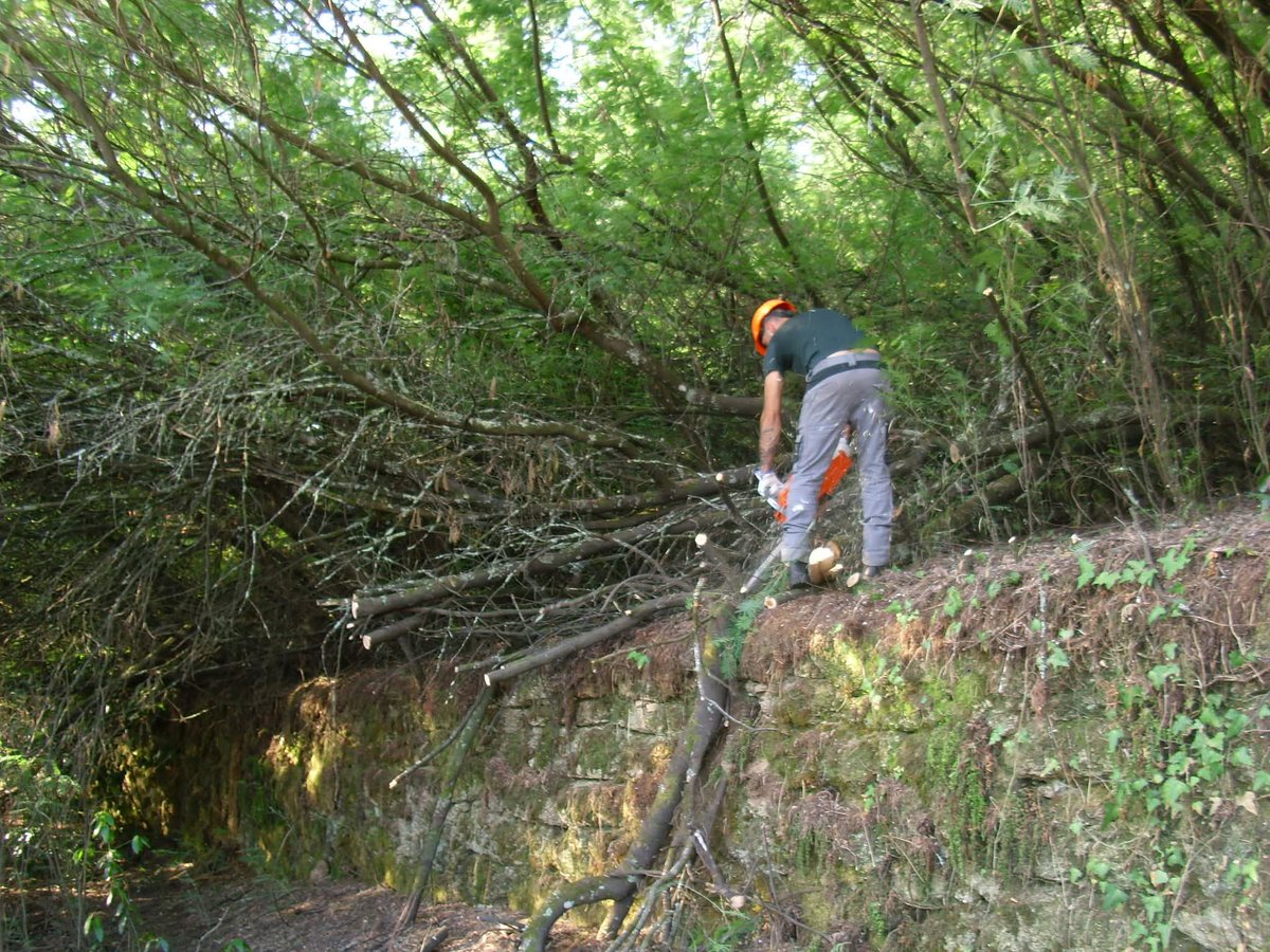 Asociación Ridimoas tweet media