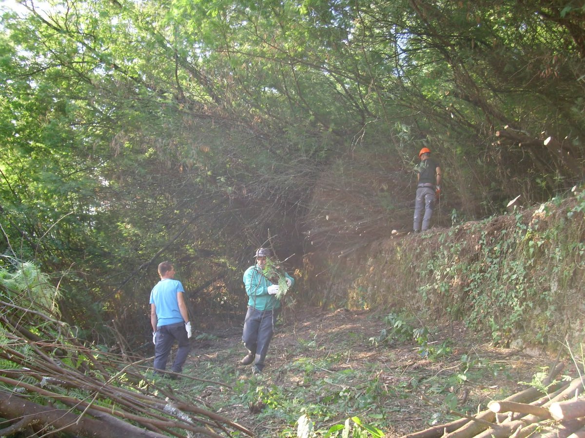 Asociación Ridimoas tweet media