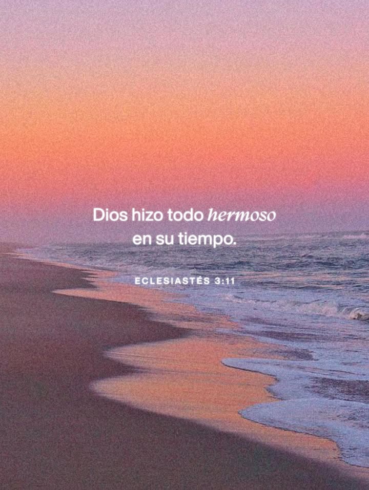 Versículos Diarios 📖 (@versiculosxdia) on Twitter photo 