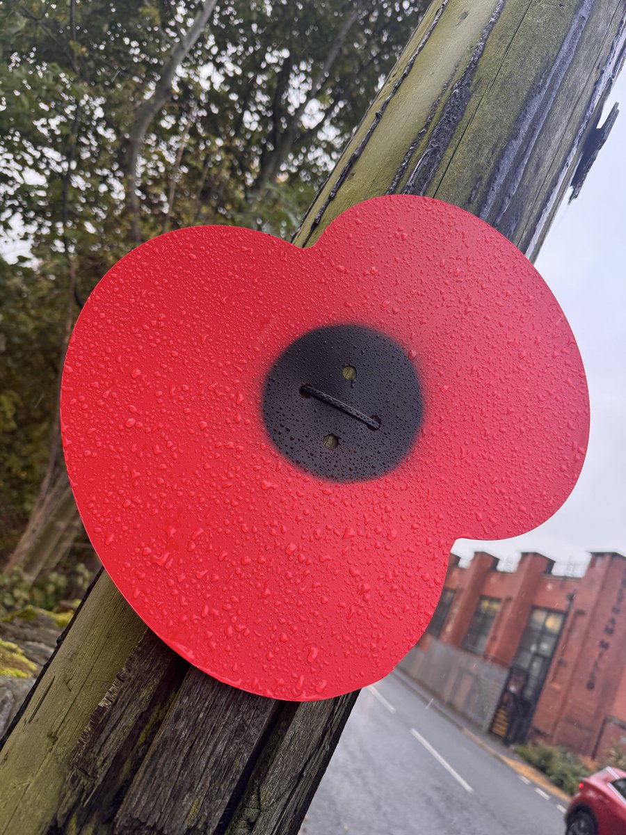 Zest for Print tweet media