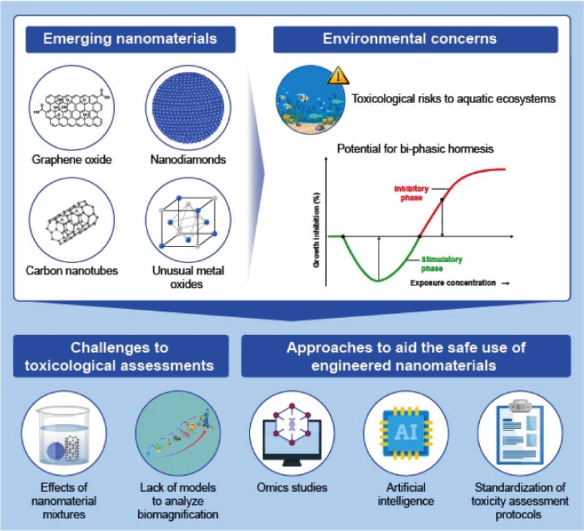 Our latest review explores how emerging ENMs like graphene oxide and nanodiamonds impact aquatic life. From hormesis effects to AI-driven risk models — we highlight key knowledge gaps and future directions for safer nanotechnology.
doi.org/10.1016/j.scit…