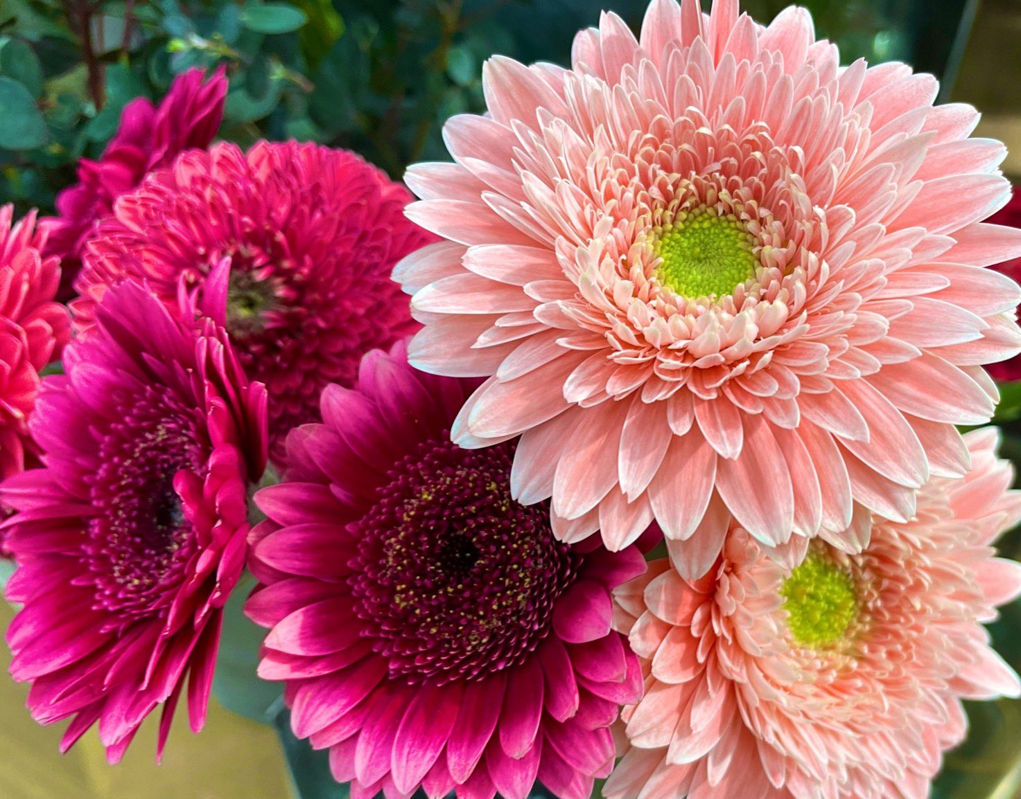 ラ*ク様 ☘️スペシャルイベント☘️♈️ 890 【⭐️⭐️⭐️キラキラ輝き花弁 あしなっくす✡️でちゃう！ on X