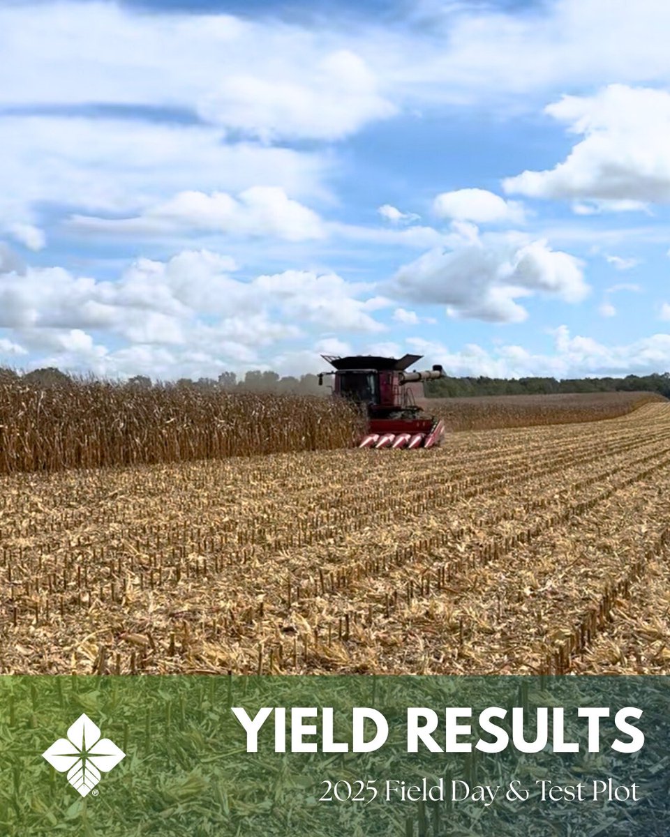 🌽 2025 Field Day yield results are here!
Top hybrid: Revere 1839TC at 275 bu/acre, followed by Rob See Co and Seed Consultants.
See how all 30 entries stacked up 👇
🔗 ow.ly/cCZ750XfKoc