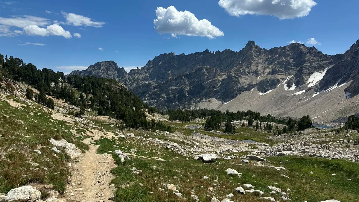 Consensus never built the future.

Larry and Sergey were outliers. So were Zuckerberg, Bezos, and Karp. Power-law returns come from contrarian capital backing remarkable talent.

Yet the VC industry is chasing "consensus founders" and mega-rounds—dangerous conformity we've seen