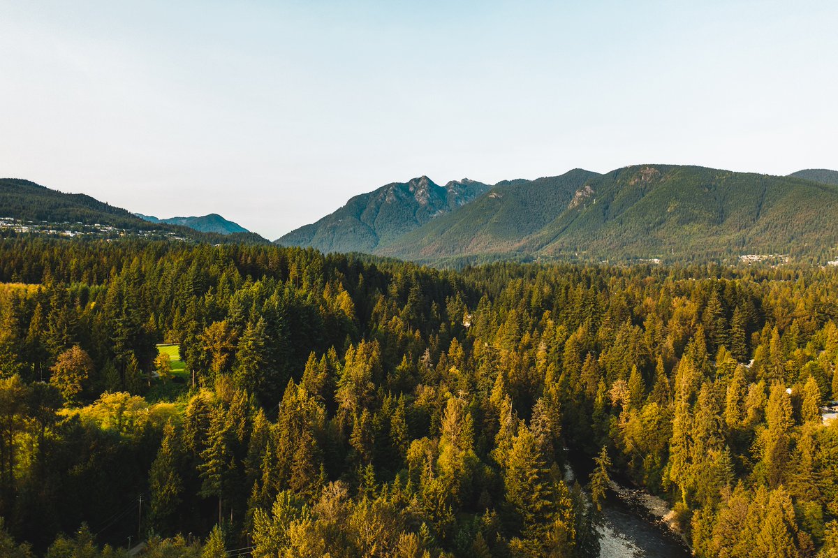 It’s easy to find natural beauty throughout North Vancouver, from trails and parks to waterfront vistas.

To explore our rental homes currently available in North Vancouver, please visit our website.

Century: centurynv.com
Victor: rentvictor.com