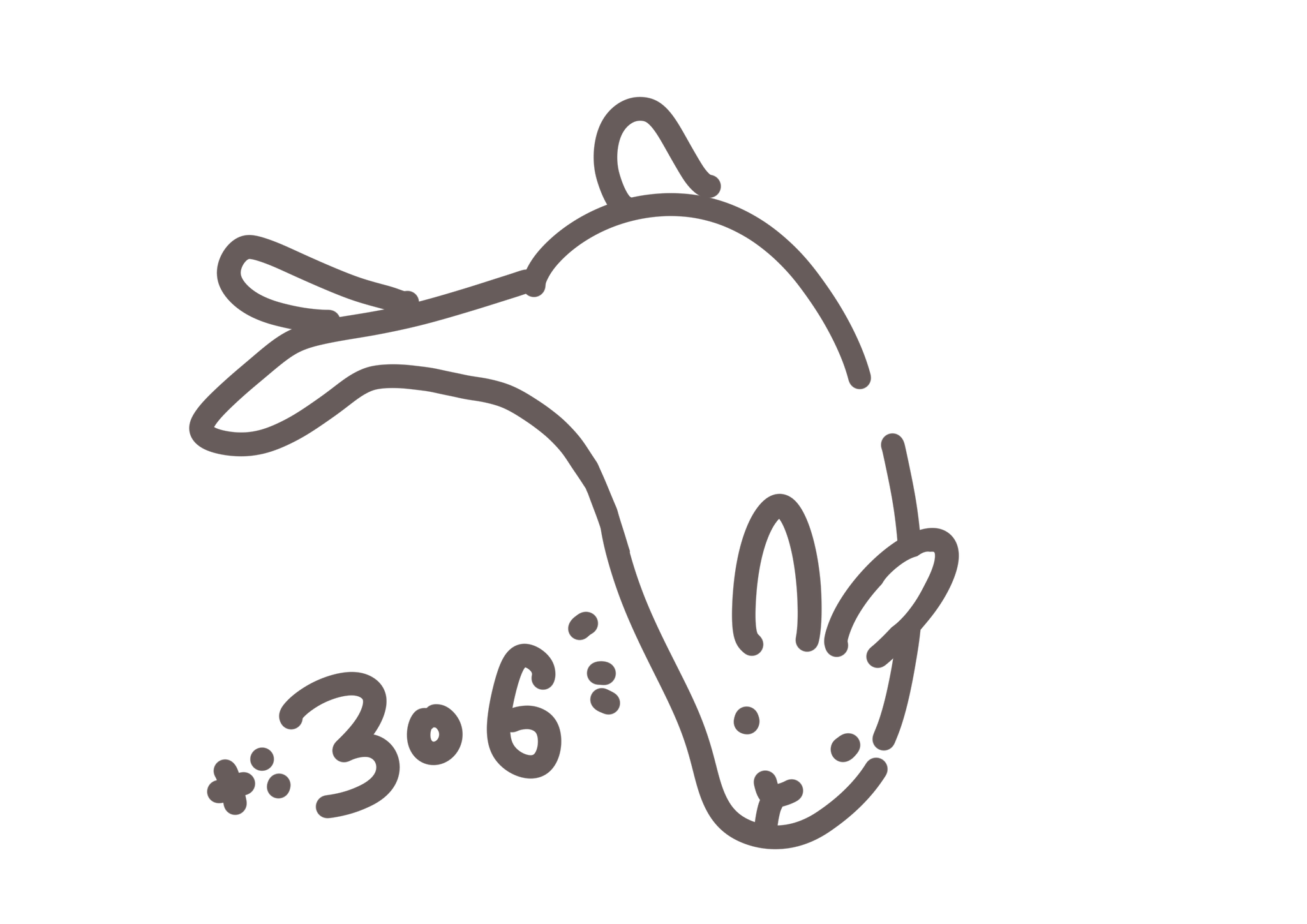 🐇 𝟑𝟎𝟔 🫧 on X: 