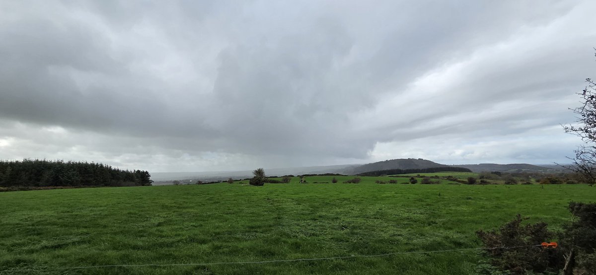 fitzyok's tweet photo. Lá ceathach a bhí ann inniu(showery day). Siúlóid déanta mar sin féin(walk done though). Stoc agus na capaill breá sásta sa ghort(cattle and horses happy in the fields). Go leór féir(plenty grass). Alán duilleóga 🍂 timpeall.
#300DaysofGaeilge
#300daysofwalking
#GaéilgeGachLa https://t.co/cMIIBvCOdo