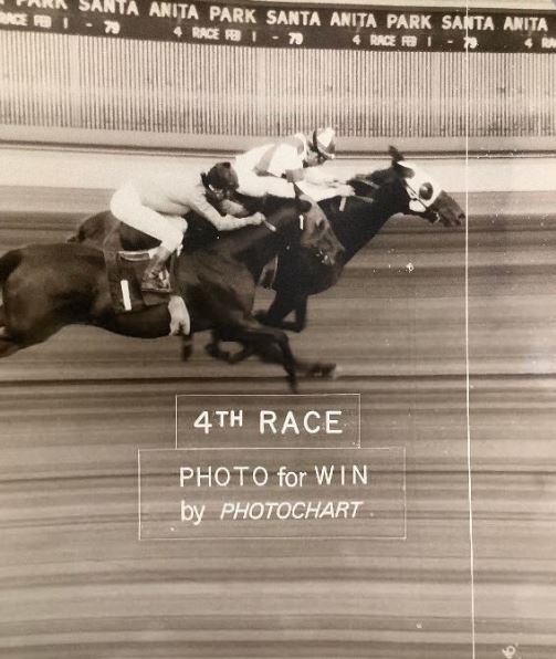 Steve Cauthen ends an 111 race losing streak in a photo at Santa Anita - within a few months he would be riding in the UK.