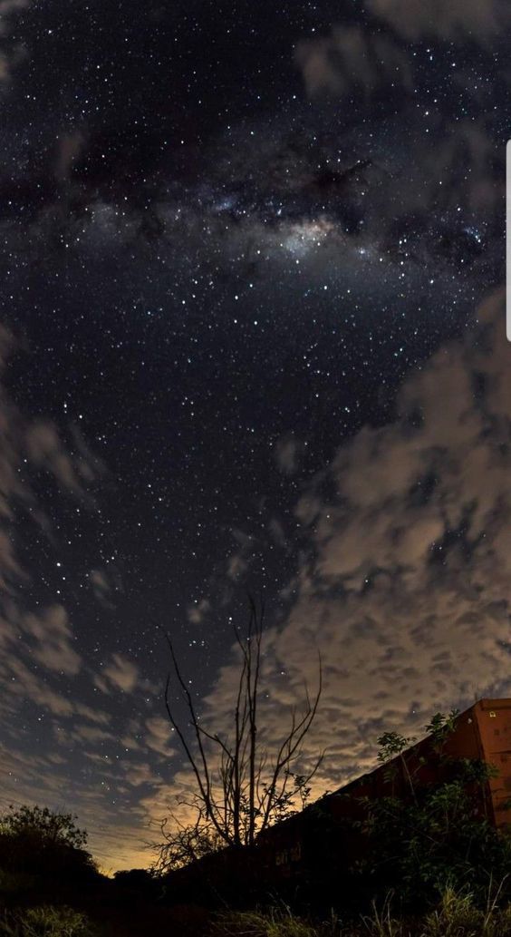 💫
"النجوم في السماء كأنها حبات من فضة متناثرة، تضيء لنا الطريق في الليالي المظلمة. تُشعل في قلوبنا الشوق إلى الجمال والكمال. تنير لنا درب الحلم والأمل. وتجعلنا نرى الجمال في كل شيء. وفي ضوئها نجد السكينة والطمأنينة."
🌠