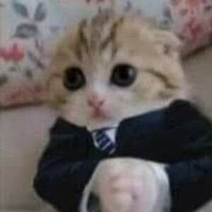 acervothresh's tweet image. .   .   .   .   .   .   .