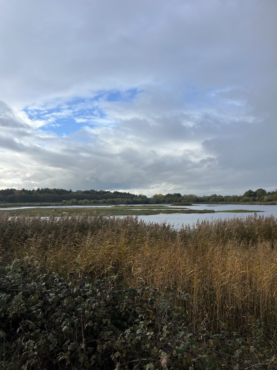 rly cool girl tweet media