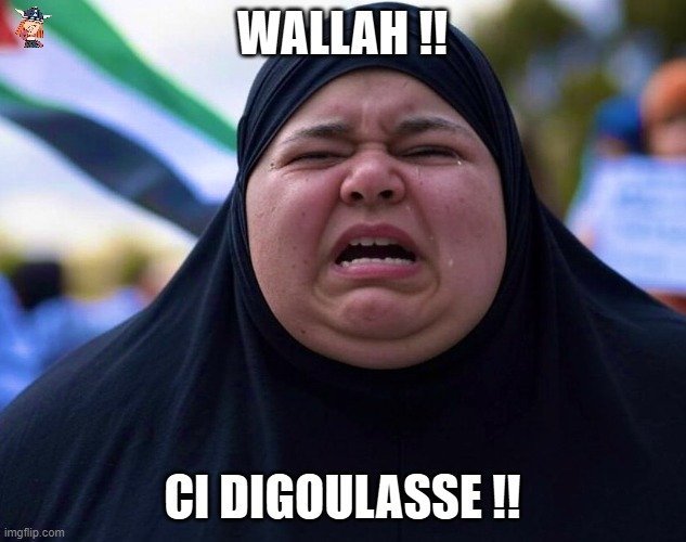 Bellafemouk's tweet photo. @AlphaZetaa10 @Asedamme @milafique Tu rêverais d'une femme comme elle mais comme tes frères consanguins de la secte du chamelier pédophile tu n'auras droit qu'à une de tes laides cousines germaines du bled qui arrivera de sa porcherie avec l'hymen distendu et le trou du cul taille xxl, alors ftg fils de fuyards 😘 https://t.co/fNXLrPwpem