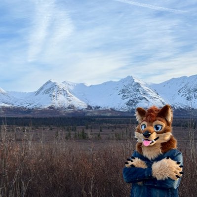 Winter is coming…

📷 = <a href="/zen_greyson/">Felix</a>